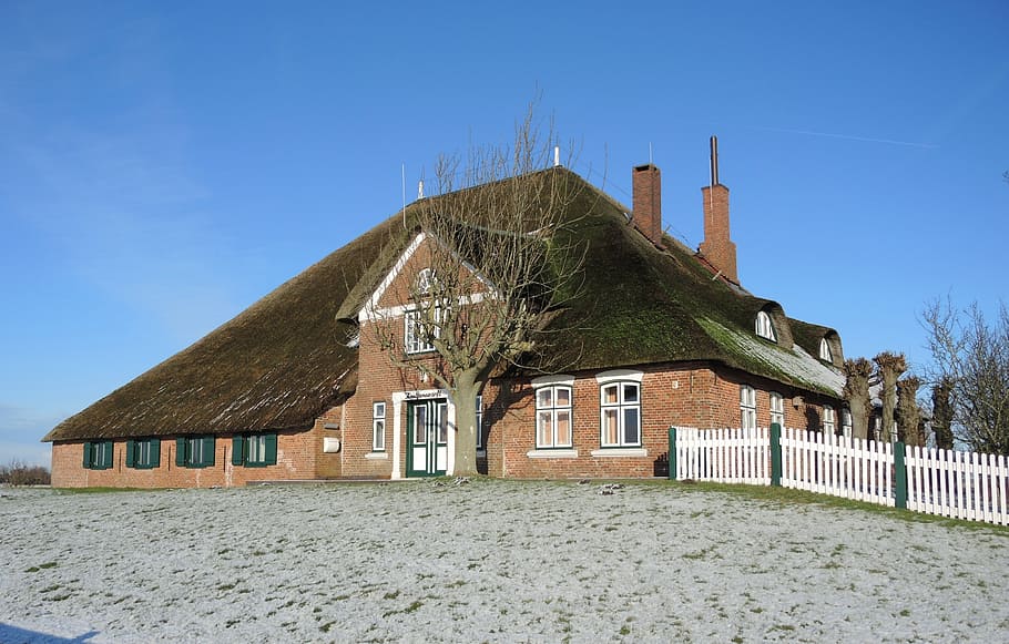 haubarg, winter, thatched roof, eiderstedt, architecture, built structure, HD wallpaper