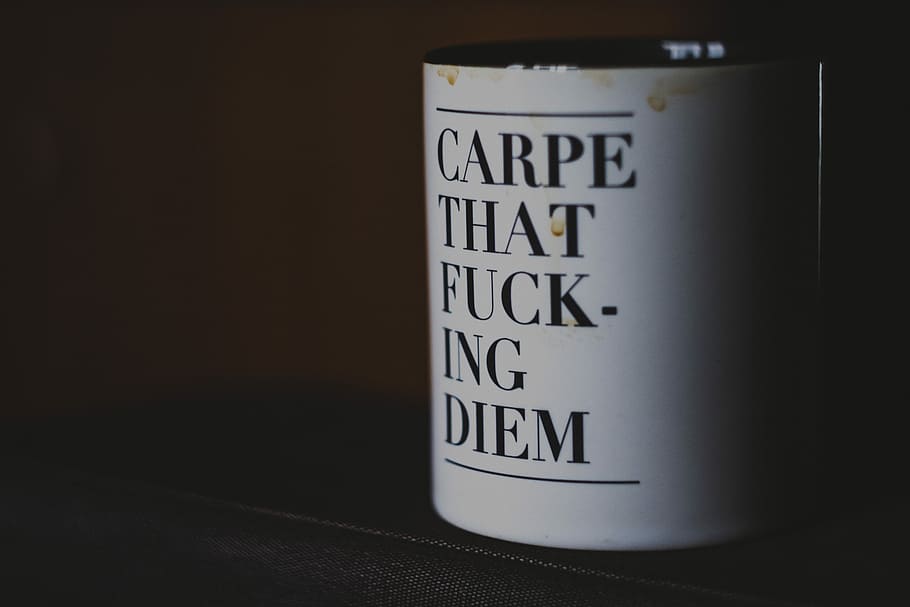 white ceramic mug, Carpe That Diem mug, cup, drink, coffee, carpe diem HD wallpaper