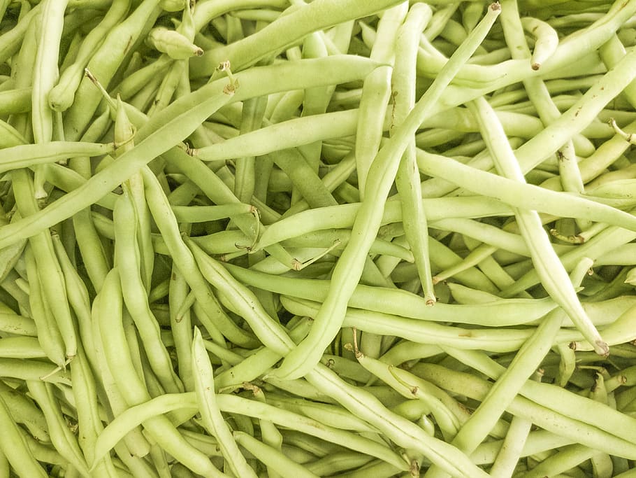 green, pea, green bean, food and drink, backgrounds, vegetable HD wallpaper