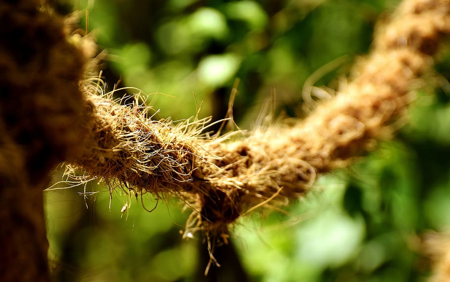 rope, thick, dew, fixing, knitting, twisted ropes, close up HD wallpaper