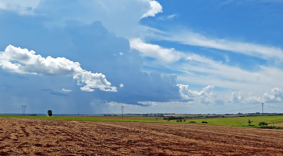 sky, cloud, field, plantation, clouds, blue sky, day, sunshine HD wallpaper