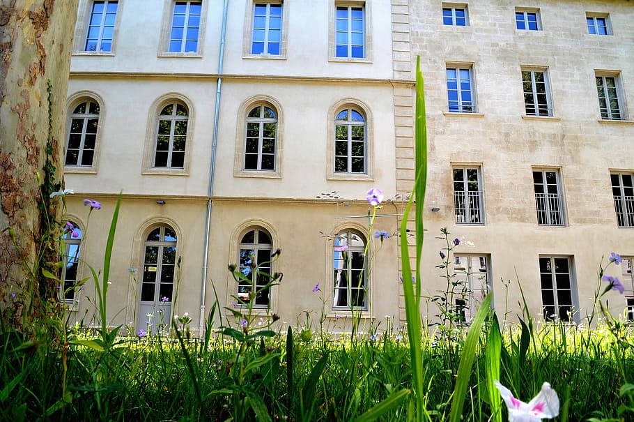 building, avignon, monument, architecture, europe, france, history HD wallpaper