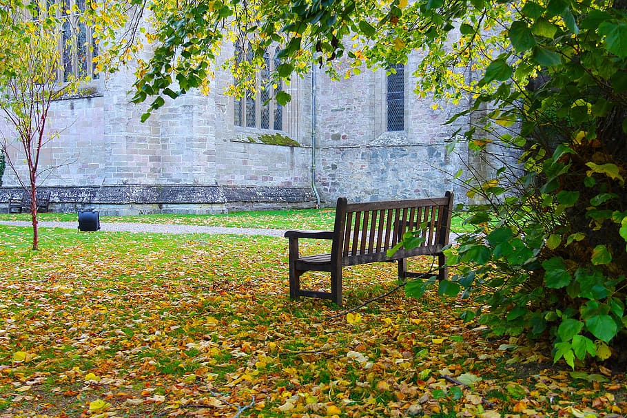 leaf, bench, tree, nature, wood, beautiful, tranquil, scotland highlands HD wallpaper