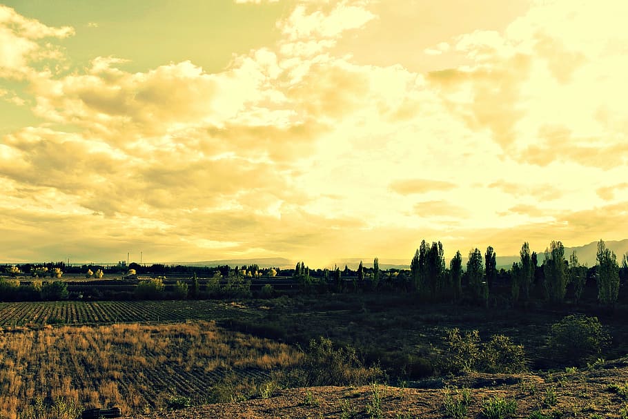landscape, mendoza, trees, mountain, sky, yellow, nature, clouds HD wallpaper