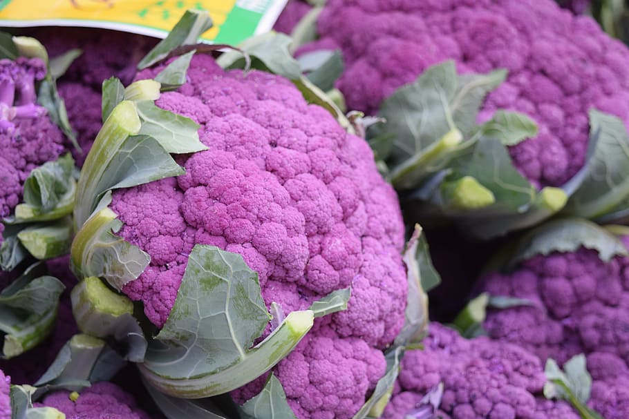 purple cauliflowers photography, vegetables, veggies, violet HD wallpaper