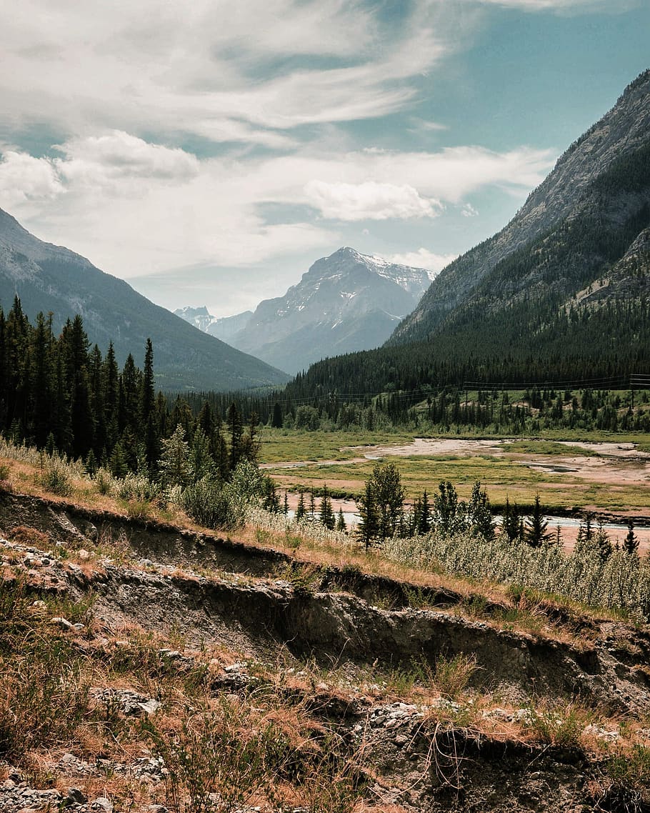 trees, green, plants, grass, nature, mountain, valley, highland HD wallpaper