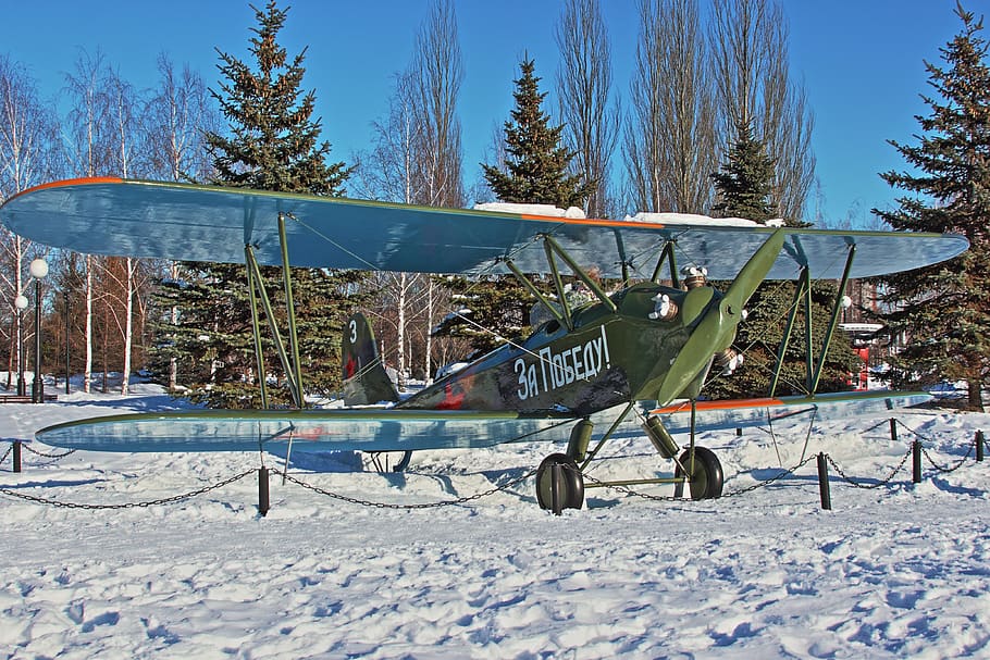 winter, snow, coldly, tree, plane, aviation, cold temperature HD wallpaper