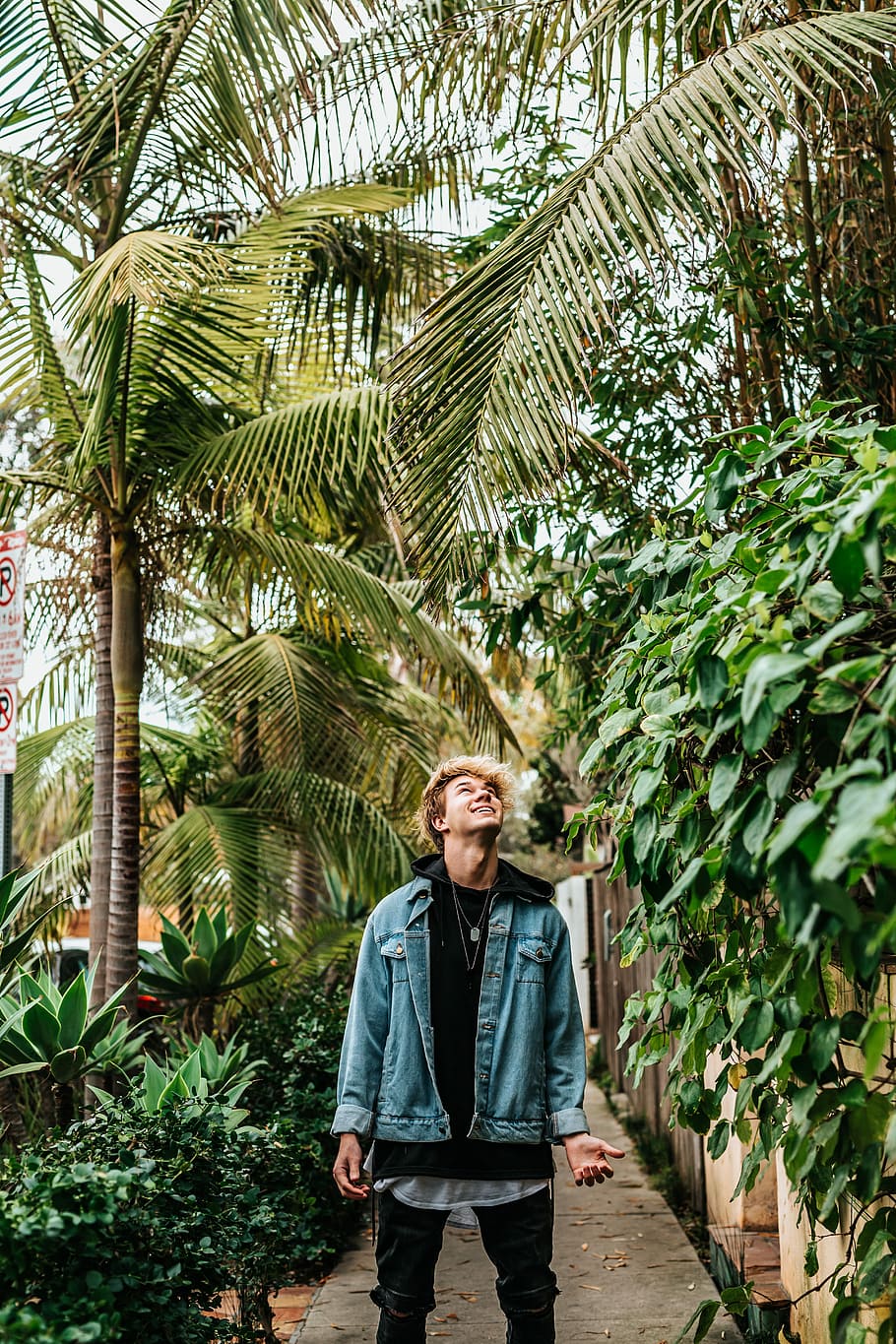 man standing between green leafed plant, man wearing denim jacket looking up and standing on pathway between plants HD wallpaper