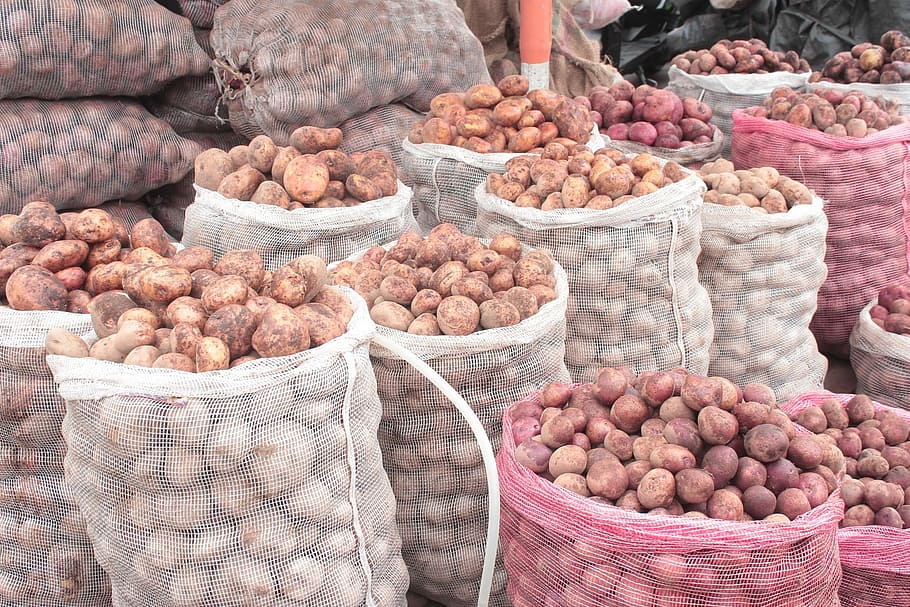 Potato, Gallery, Fruit, Coffee, Food, healthy, vegetables, nature HD wallpaper