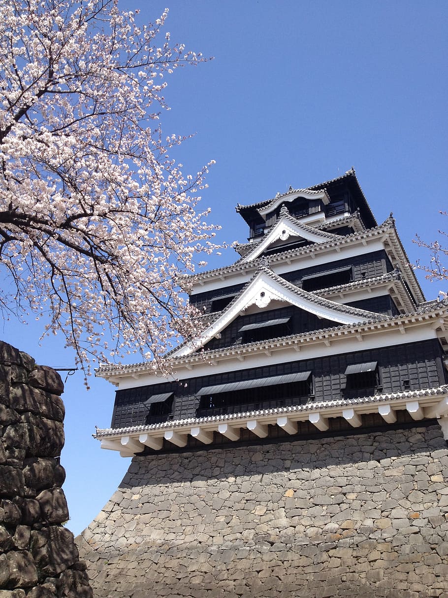 kumamoto castle, spring, building, architecture, japan, built structure HD wallpaper