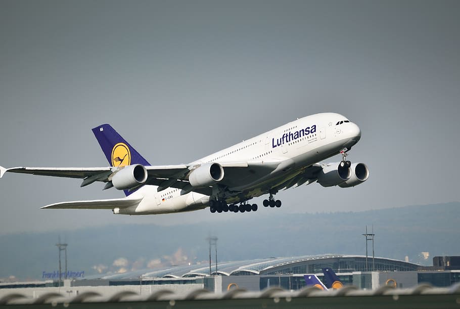white Lufthansa airliner on flight, Airbus, A380, Frankfurt, Start