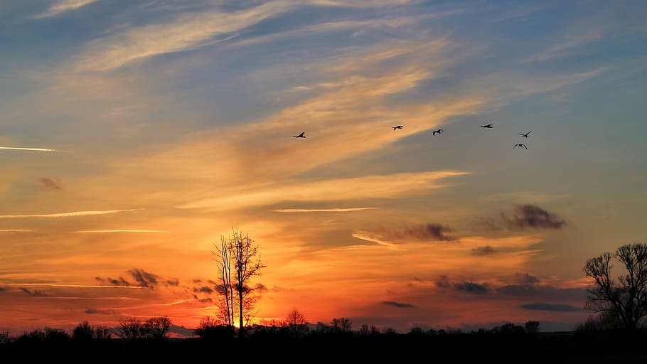 Landscape, Sunset, Twilight, Nature, Sky, evening sky, clouds HD wallpaper