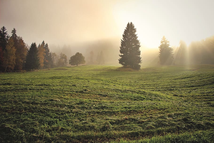 divine-light-light-clouds-sunlight.jpg