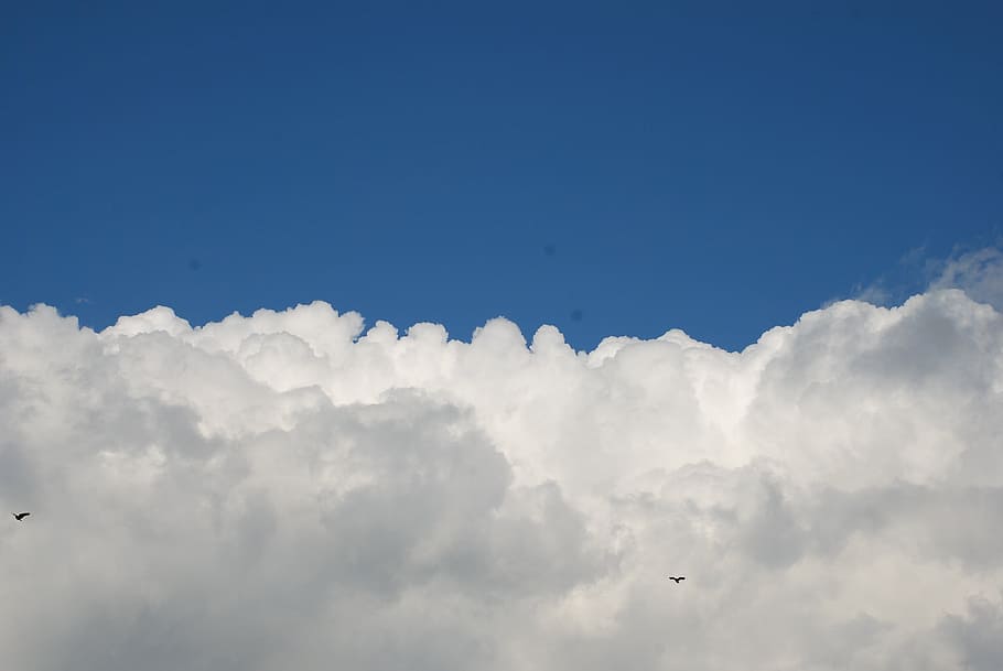 Sky, Blue, White, Clouds, cloud - sky, nature, heaven, day HD wallpaper