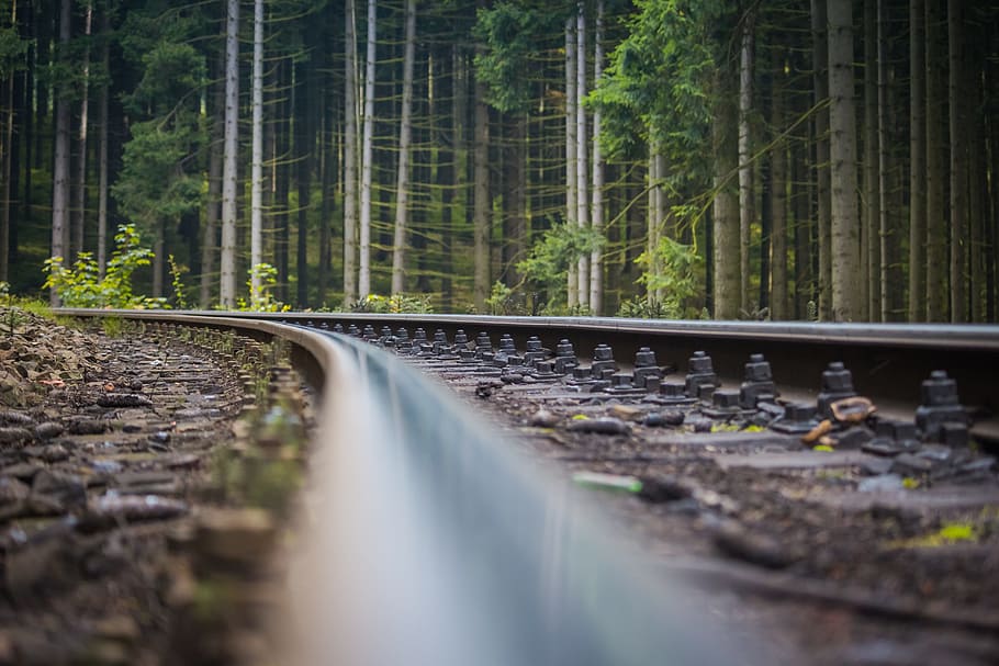track, forest, macro, the screws, trees, autumn, light railway HD wallpaper