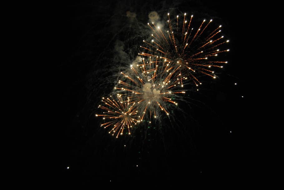 Fireworks, Night, Pyrotechnics, Darkness, rockets, firework display HD wallpaper