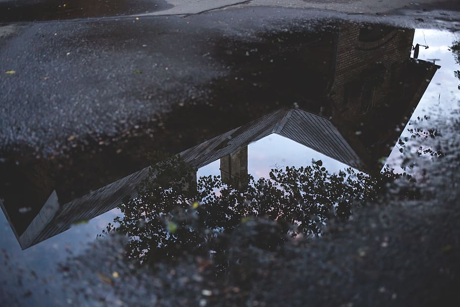 tree, plant, house, sky, street, water, architecture, built structure HD wallpaper
