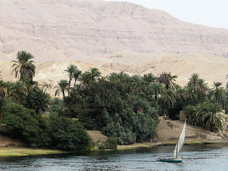 nile, river, boot, tree, plant, water, nature, day, scenics - nature HD wallpaper