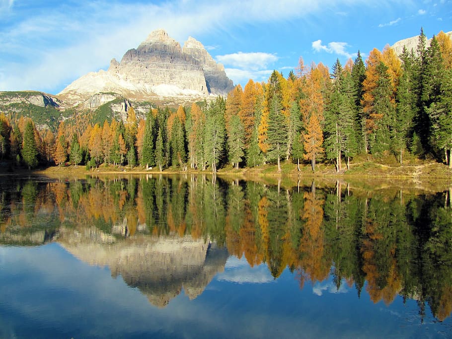 lake surrounded by trees, gray mountain near pine trees and lake at daytime HD wallpaper