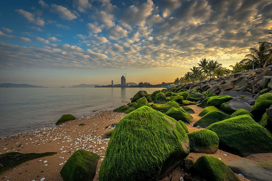 green rocks in seashore during daytime, boulder, sky, cloud HD wallpaper