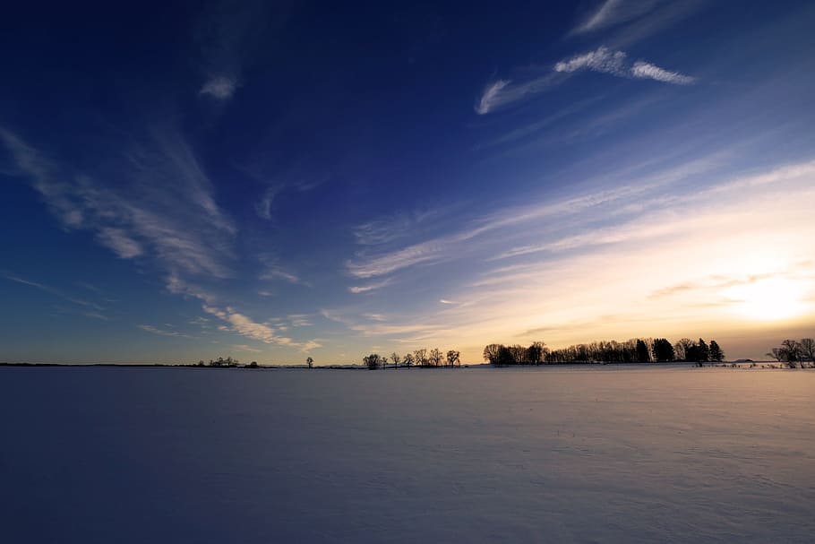 body of water and trees under clear blue sky, sunset, waters HD wallpaper