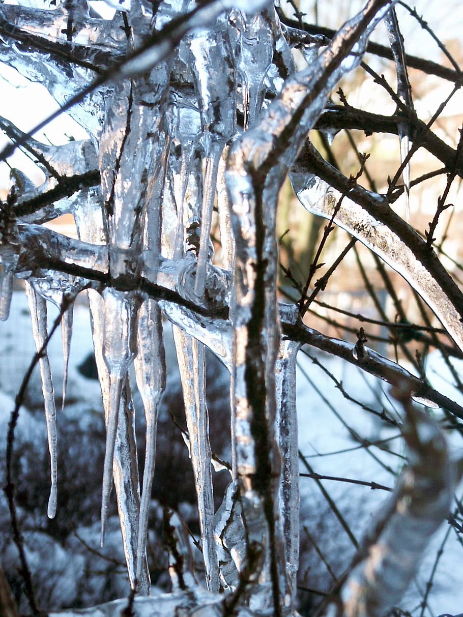 icicle, winter, ice, cold, frozen, wintry, icy, cold temperature HD wallpaper