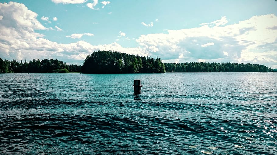 summer, lake, beach, trees, water, finnish, nature photo, blue HD wallpaper