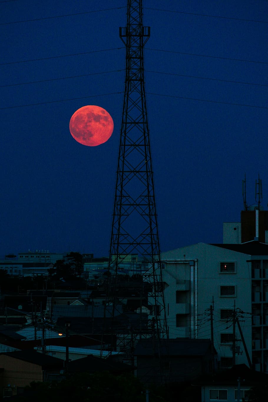 moon, full moon, night, sky, built structure, architecture HD wallpaper