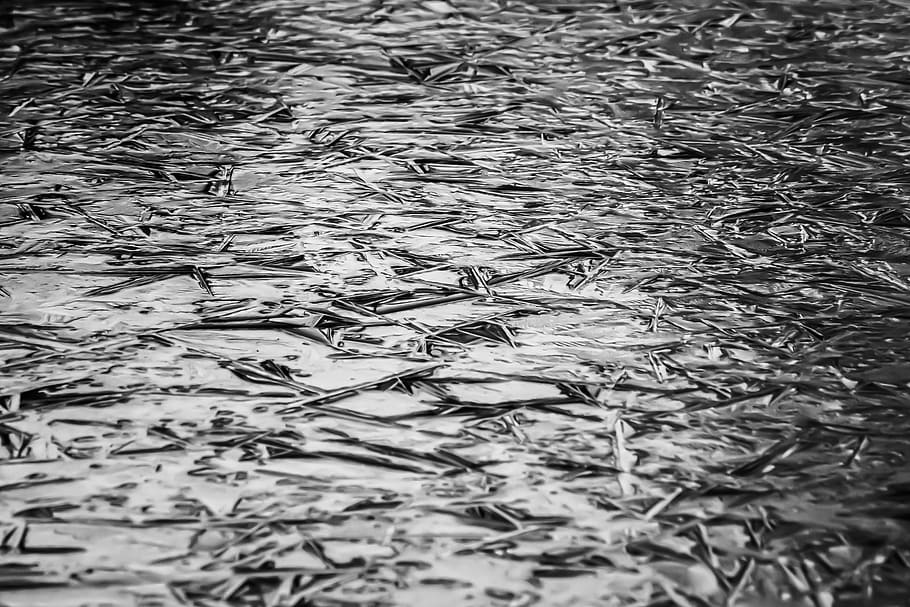 background, texture, ice, frozen, pattern, structure, winter HD wallpaper