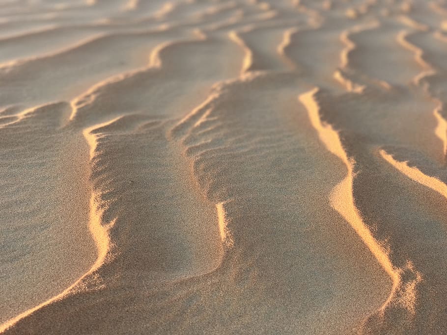 desert, sand, scenic, remote, hot, dry, landscape, scenery HD wallpaper