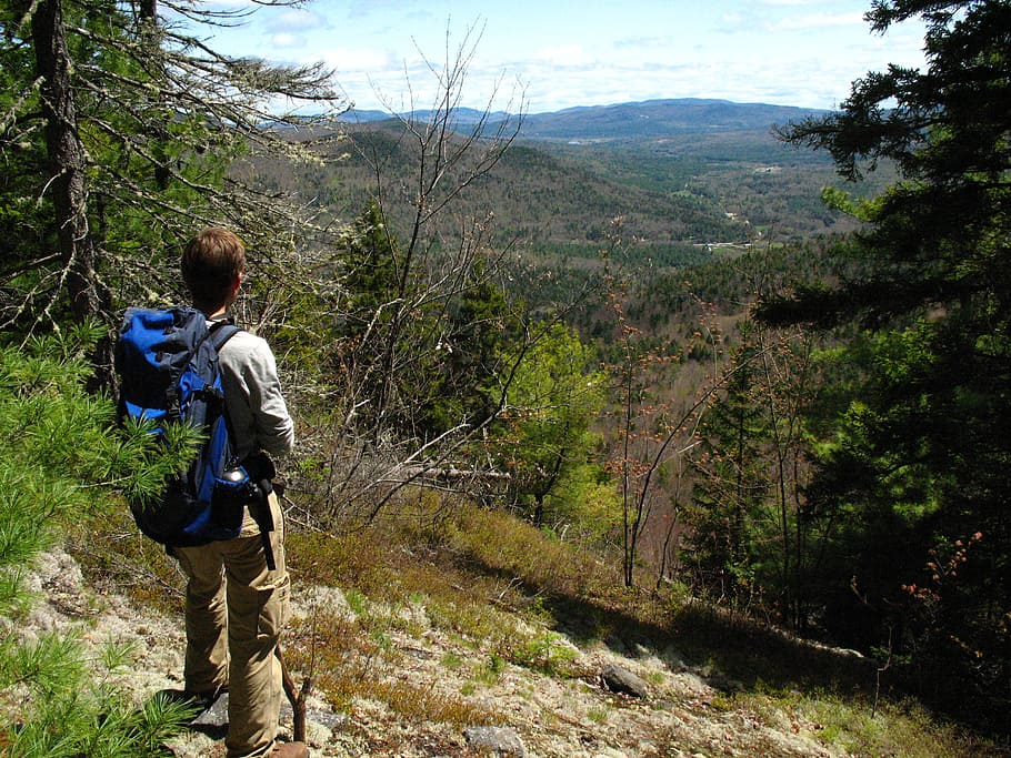 backpacker, landscape, mountain, view, forest, nature, outdoor HD wallpaper