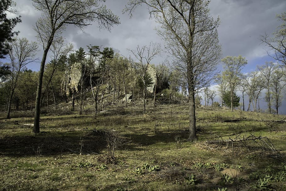 Rock Bluff with Trees and landscape in Quincy Bluff, Wisconsin HD wallpaper