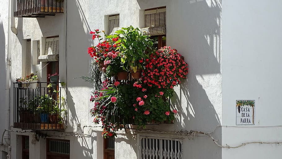 window, flowers, spring, cheerful window, facade, garden, architecture HD wallpaper