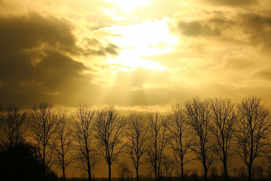 sun, clouds, forward, sky, sunset, sunburst, sunbeam, storm HD wallpaper