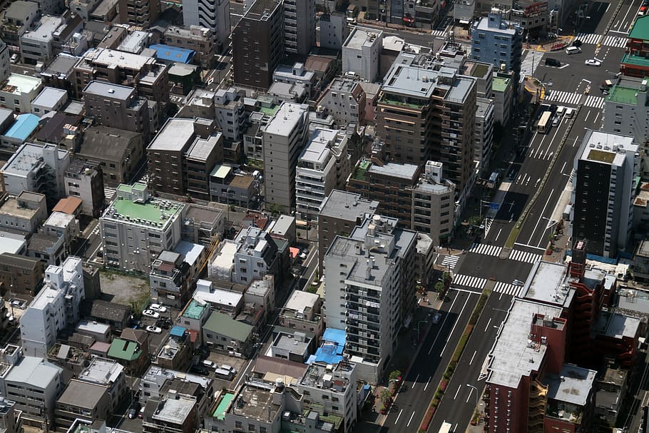 view, tokyo, japan, tower, skytree, landmark, urban, downtown, HD wallpaper
