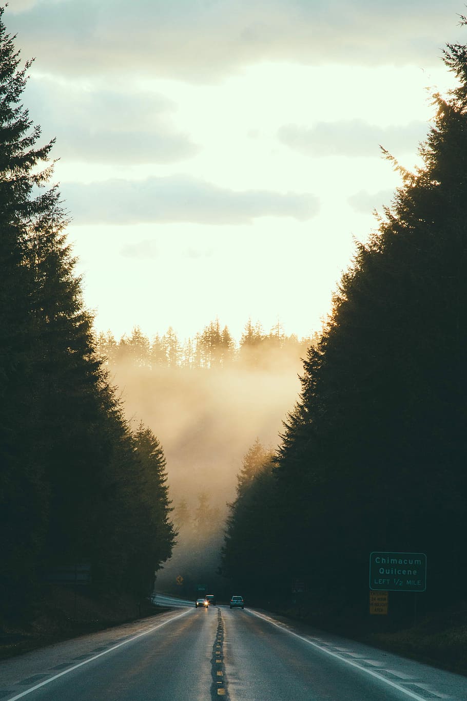 vehicle passing on road surrounded by trees, two vehicles traveling on road during golden hour HD wallpaper
