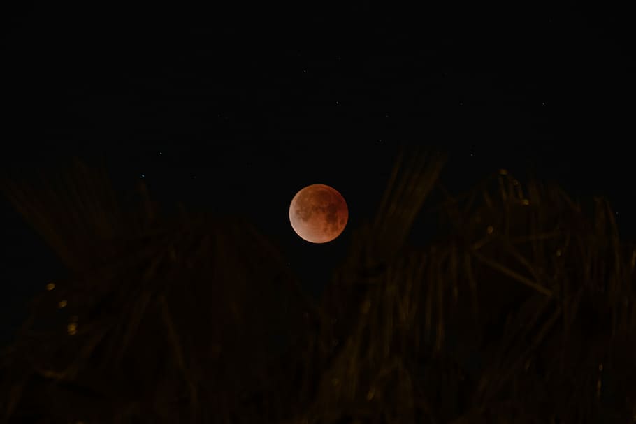 shallow focus of moon, blood moon on galaxy, eclipse, night, sky HD wallpaper