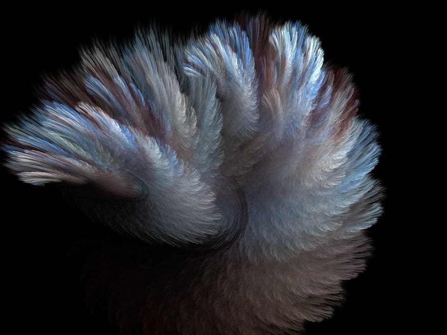 multicolored feather wallpaper, fur, fractal, grey, blue, curve, HD wallpaper