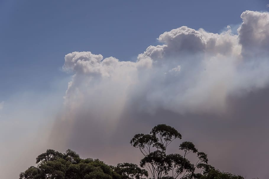 Smoke, Clouds, Bushfire, sky, grey, blue, white, horizon, trees HD wallpaper