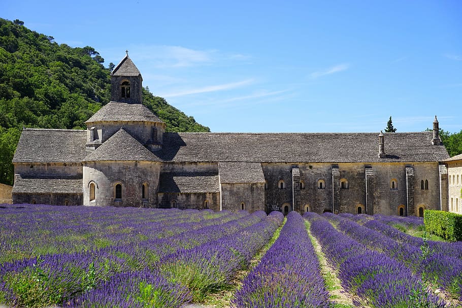 gray concrete mansion, abbaye de sénanque, monastery, abbey, HD wallpaper