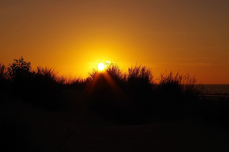 Sunset, Evening, Sky, afterglow, evening sky, nature, dusk HD wallpaper