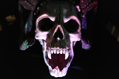 close up photo of skull, demon, monster, shadow, horror, death HD wallpaper