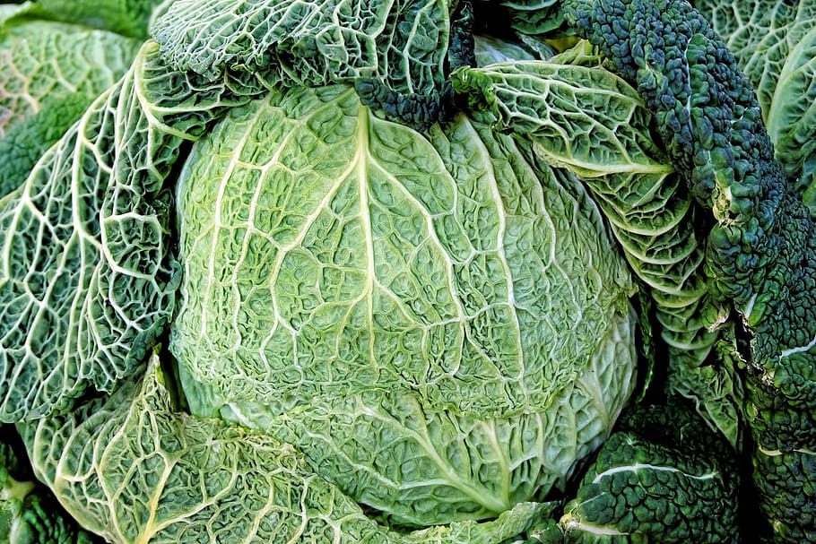 green vegetable, savoy, kohl, vegetables, healthy, vitamins, cabbage