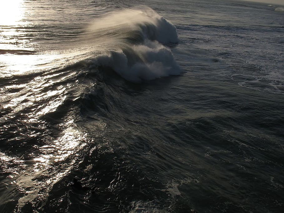 wave, ocean, nature, beach, huntington, pacific, california HD wallpaper