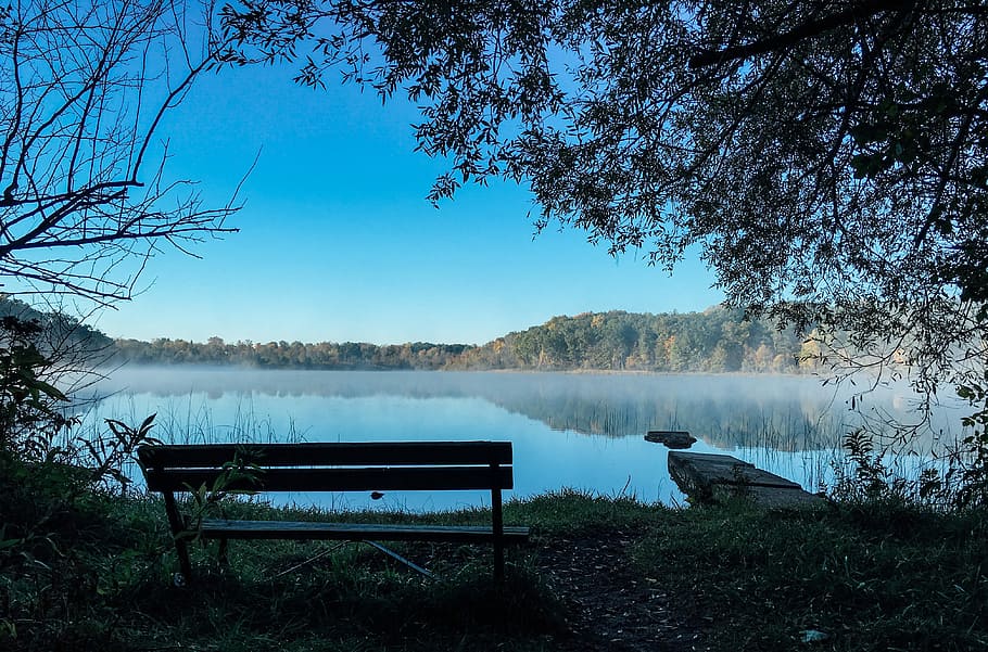 photo of bench near a lake under blue sky, nature, tree, outdoors HD wallpaper