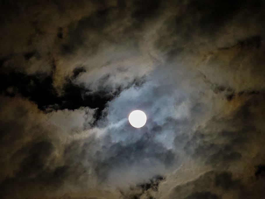 low angle photo of full moo, moon, full moon, moonlight, before lunar eclipse HD wallpaper