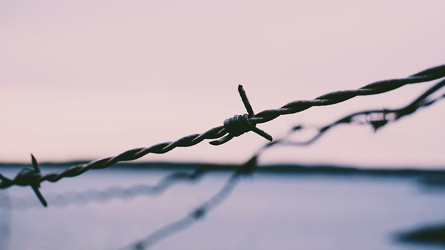 closeup photo of gray barbwire, wires, security, sharp, fence HD wallpaper