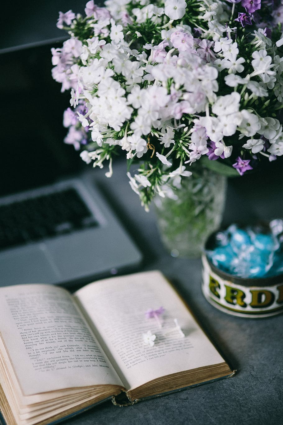 Book and blue candy, flower, flowers, essentials, opened book HD wallpaper