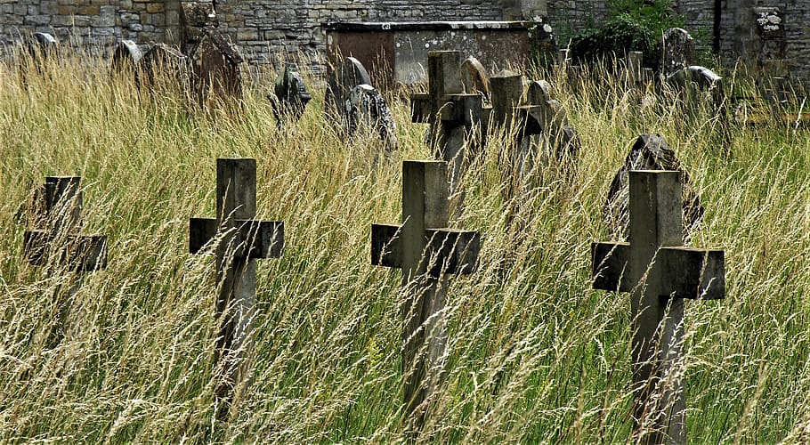grass, nature, outdoors, graveyard, plant, no people, day, field HD wallpaper