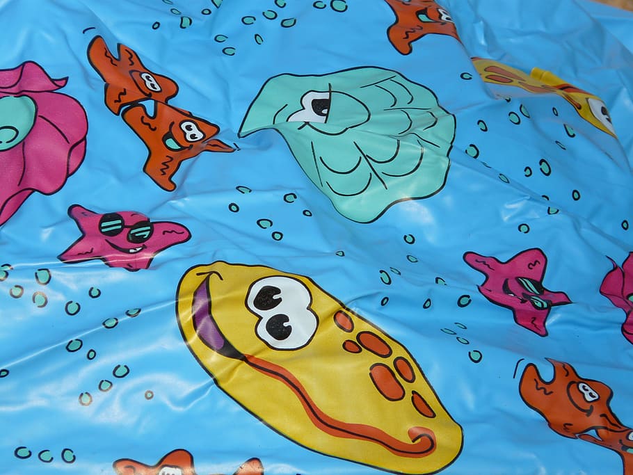 plastic wrap, comic figures, funny, printed, starfish, shell HD wallpaper